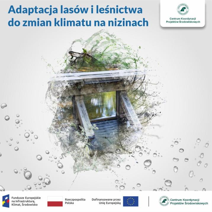 Projekt adaptacji do zmian klimatu na terenach nizinnych - kontynuacja