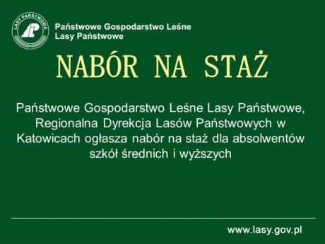 NABÓR NA STAŻ DLA ABSOLWENTÓW SZKÓŁ ŚREDNICH I WYŻSZYCH
