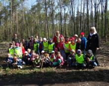 Młode buki pod okiem zająca!